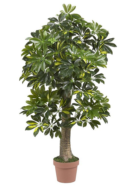 (image for) 4’ Schefflera Silk Tree (Real Touch) # NN5305 TEXT_CLOSE_WINDOW